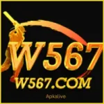 w567 game